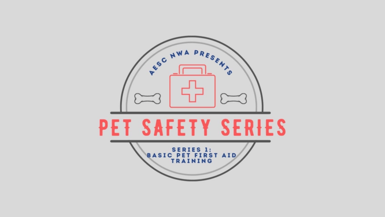 A Successful Start to Our Pet Safety Series