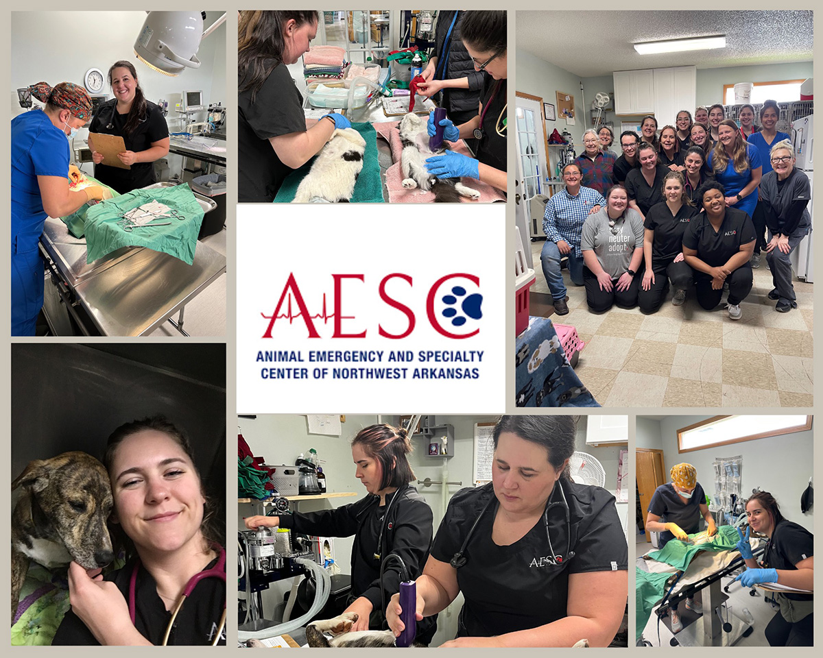 Volunteering at Spay Arkansas Animal Emergency Clinic of Northwest