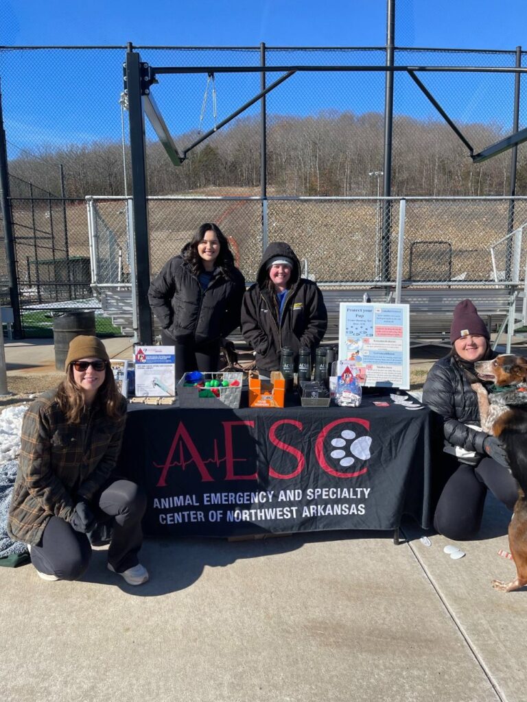 Froze our Toes in Support for the Frozen Toe Run