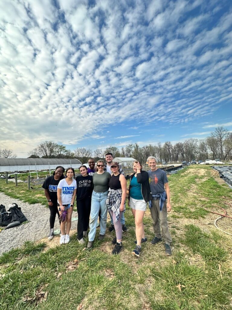 Garden Volunteering at the Samaritans Community Garden